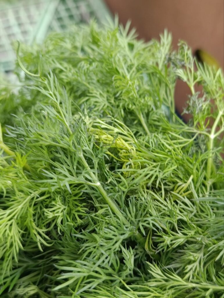 Скільки коштують перші закарпатські вітаміни з городів